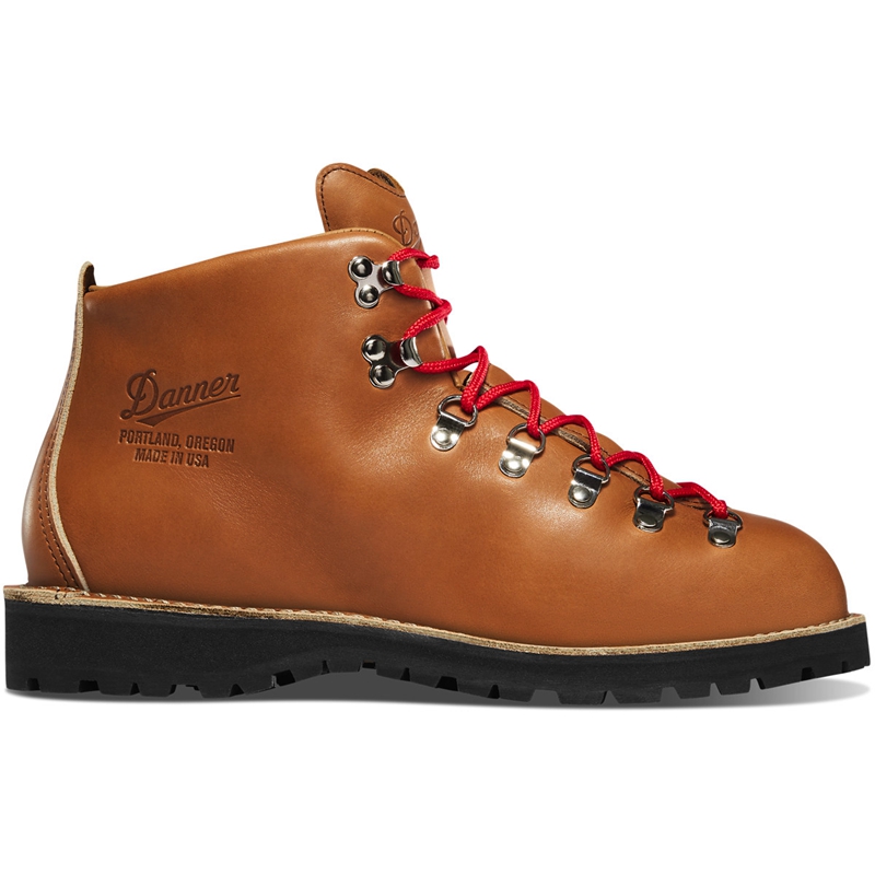 Brown Danner Mountain Light Men's Hiking Boots | FRSD80513