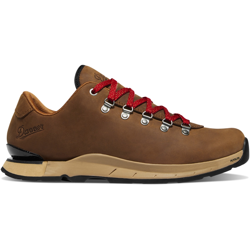 Brown Danner Mountain Overlook Men's Hiking Boots | BWPY92370