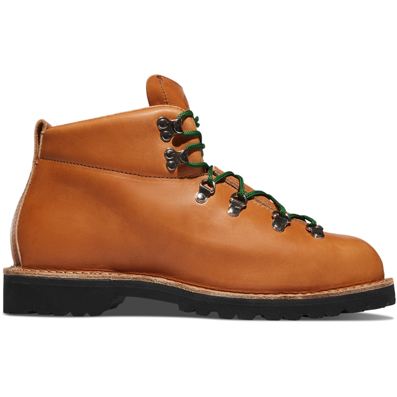 Brown Danner Mountain Trail Men's Work Boots | MBRP10469