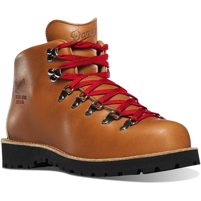 Brown Danner Mountain Light Men's Hiking Boots | FRSD80513