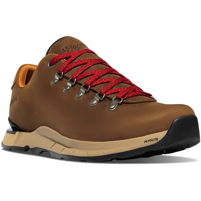 Brown Danner Mountain Overlook Men's Hiking Boots | BWPY92370