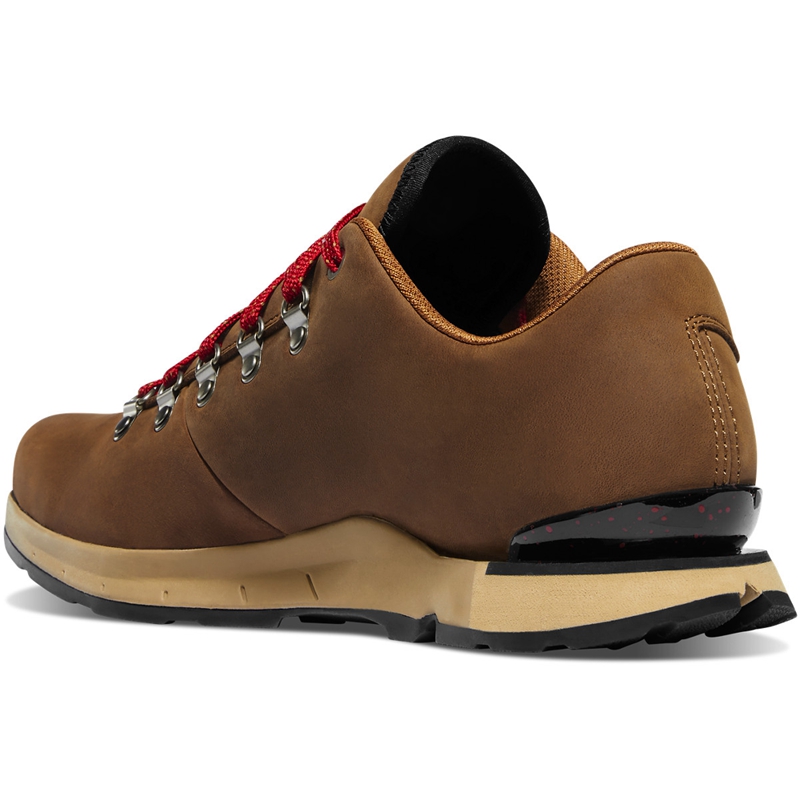 Brown Danner Mountain Overlook Men's Hiking Boots | BWPY92370