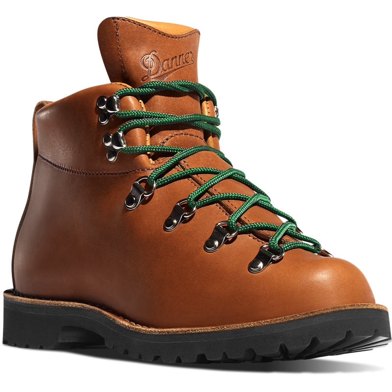 Brown Danner Mountain Trail Men's Hiking Boots | QLNR42986